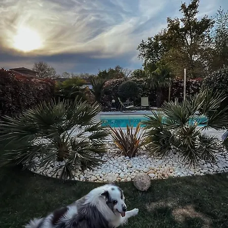 Avec Piscine *