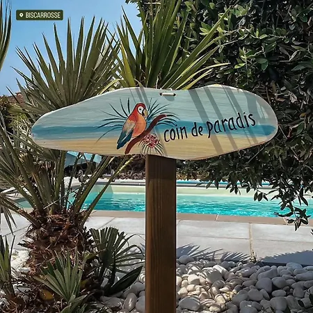 Villa Avec Piscine Biscarrosse